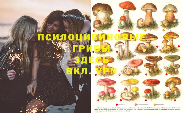 apvp Баксан