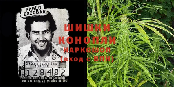 PSILOCYBIN Балабаново