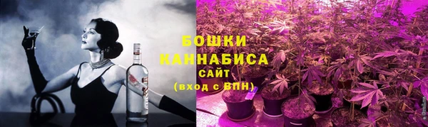 PSILOCYBIN Балабаново