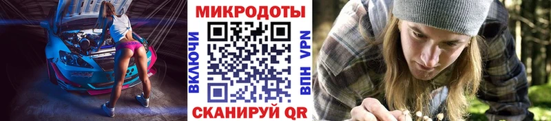 Галлюциногенные грибы прущие грибы  что такое наркотик  OMG ONION  Волгоград 