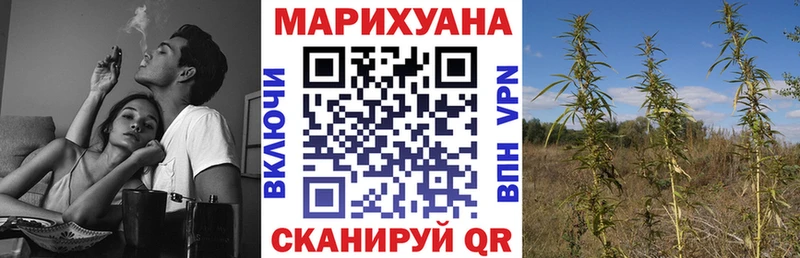 купить Волгоград мега рабочий сайт МАРИХУАНА OG Kush